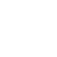 twitter icon