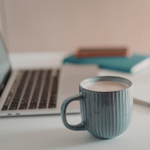 Two Dandelions Marketing ful service